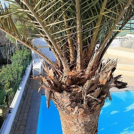 Bello Horizonte San Agustín Dış mekan fotoğraf